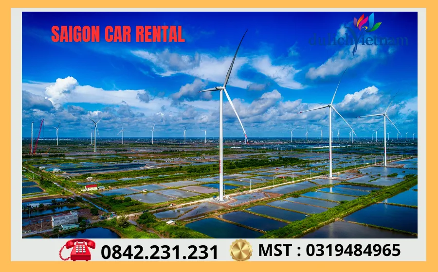 Thuê Xe Sài Gòn Đi Bạc Liêu 67 Canh Dong Dien Gio Bac Lieu
