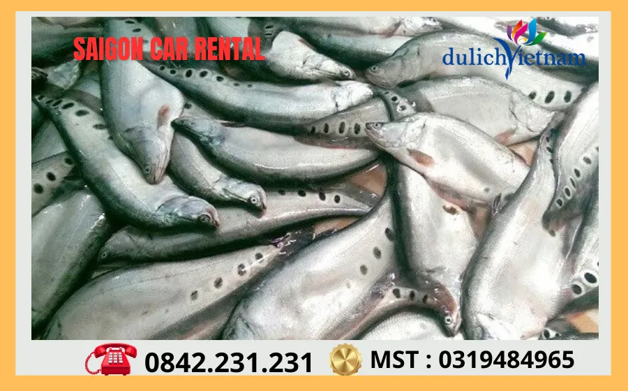 Thuê Xe Sài Gòn Đi Hậu Giang 69 Dac San Ca That Lat Hau Giang
