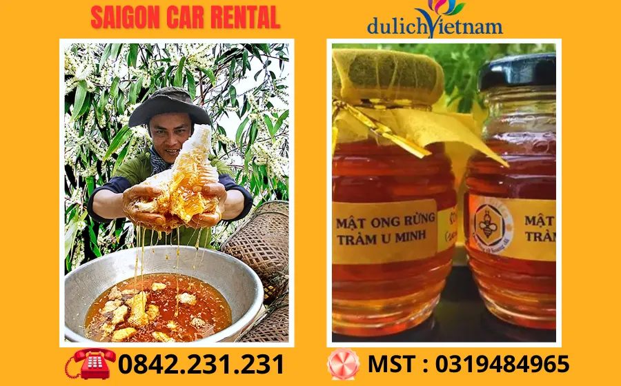 Thuê Xe Sài Gòn Đi Cà Mau 77 Mat Ong Rung U Minh